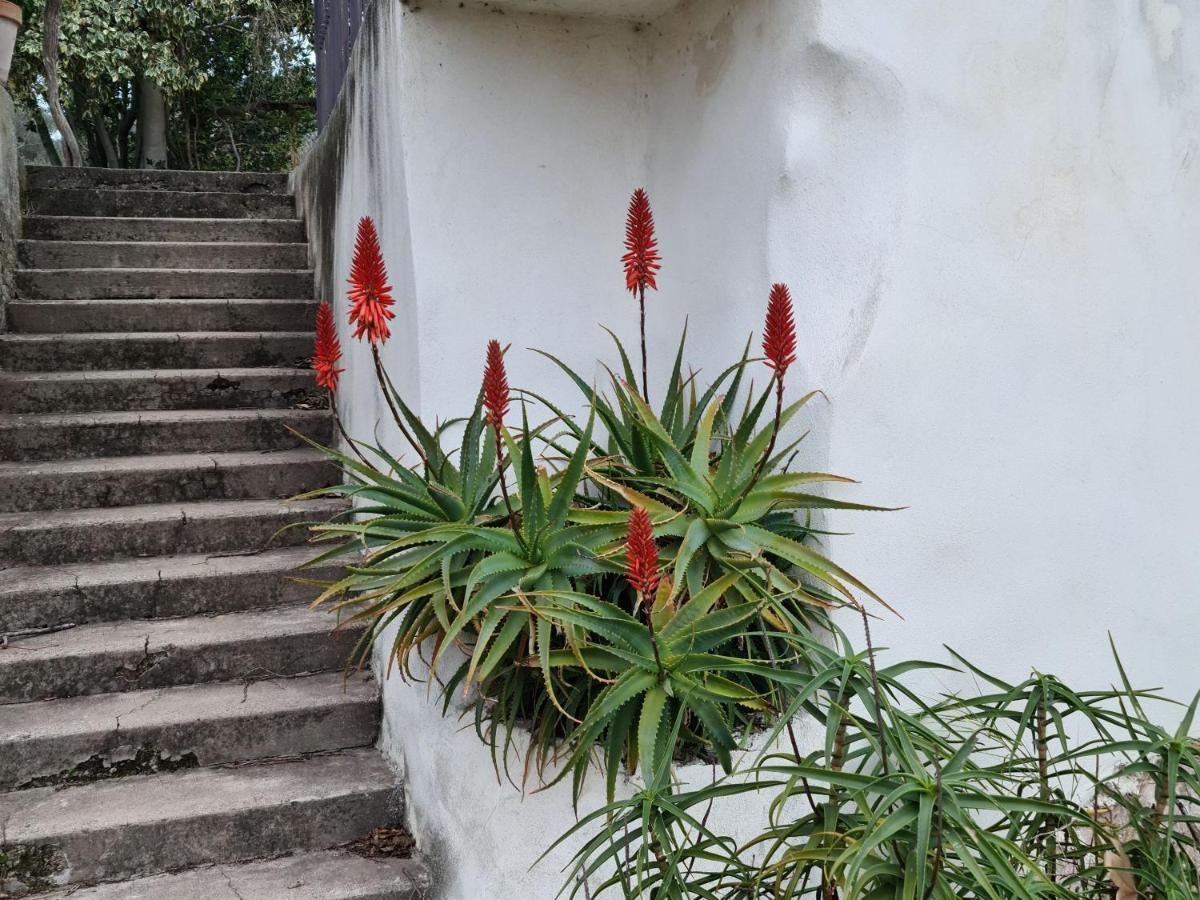 Gite Zen Carnoules  外观 照片